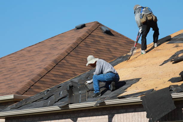 Best Roof Coating and Sealing  in Union Springs, AL
