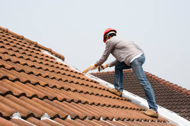 Best Gutter Installation and Repair  in Union Springs, AL